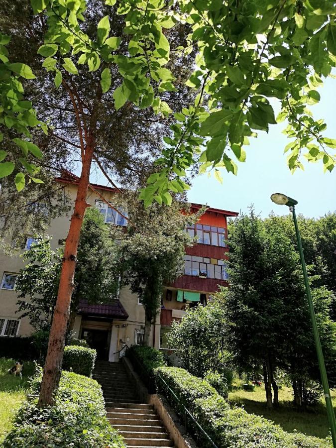 Rustic & Romantic Apartment Brașov Exterior foto